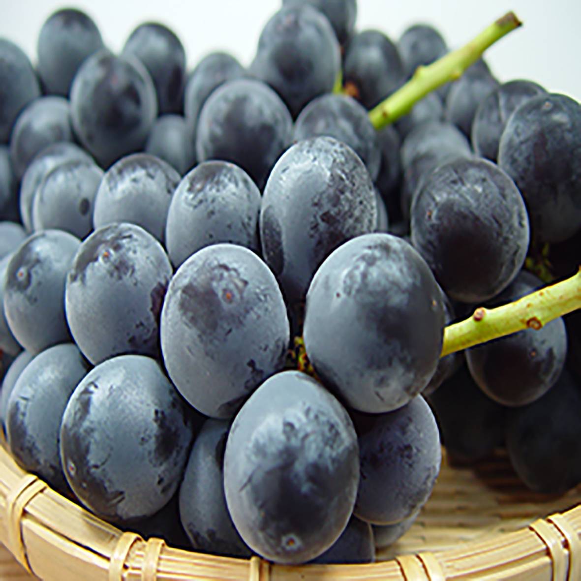 高山巨峰(豐丘)葡萄 約2公斤/盒