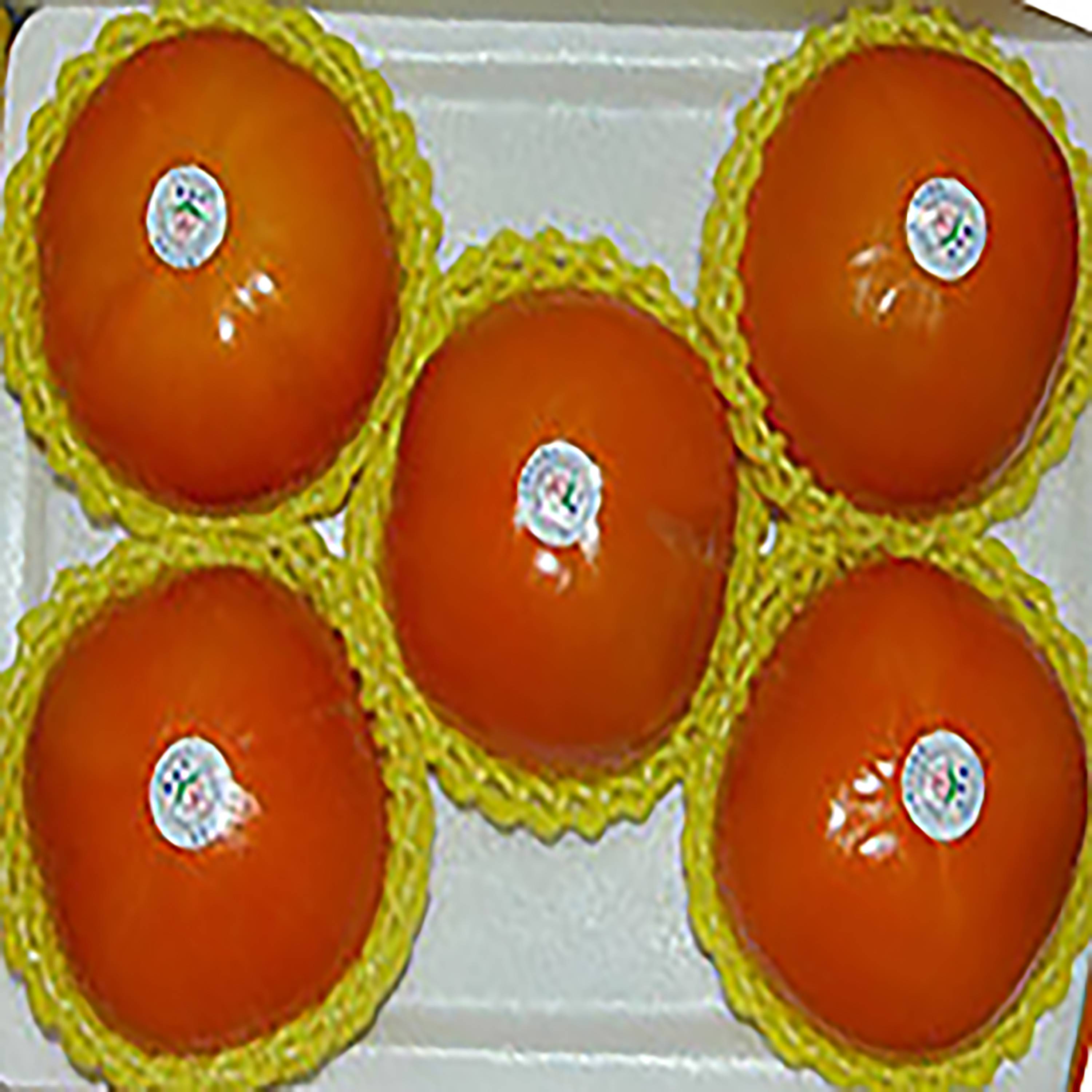 梨山高山甜柿 11A5入/盒